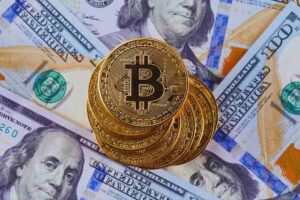 Bitcoin poggiati sopra banconote