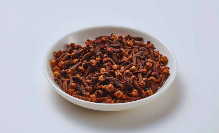 chiodi di garofano in una ciotolina